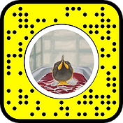 snapcode 4.png
