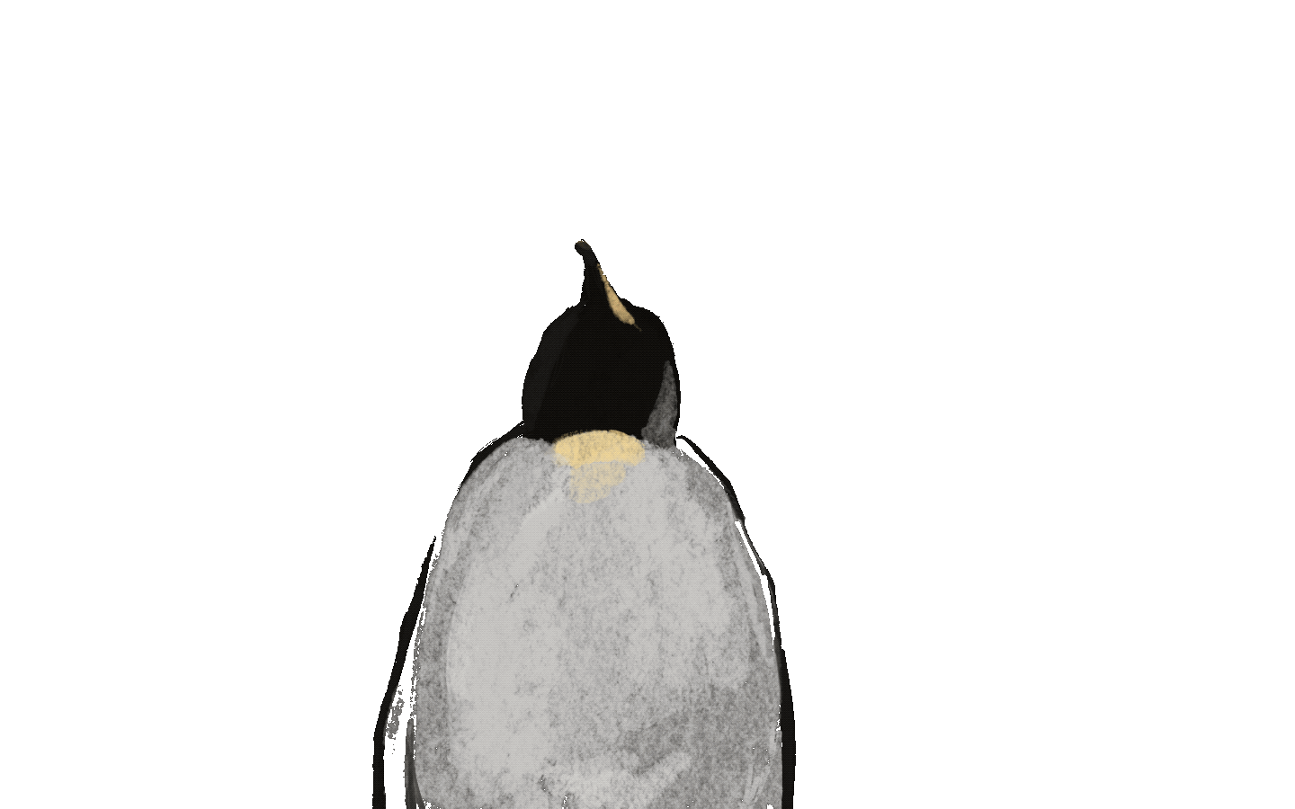 Untitled_Artwork 6.gif
