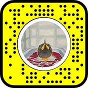 snapcode 5.png