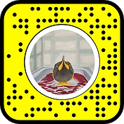snapcode 2.png