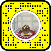 snapcode 雪花帝企鹅仔.png