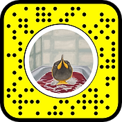 snapcode 1.png