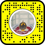 snapcode 3.png